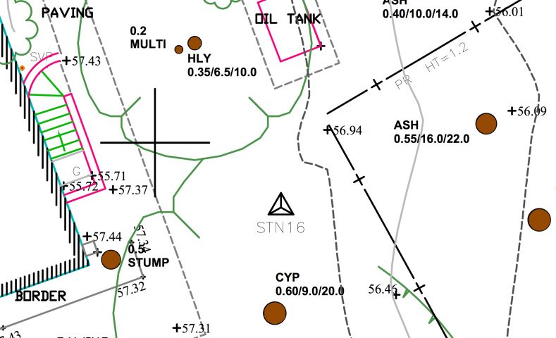 sample_topological_tree_survey-cropped